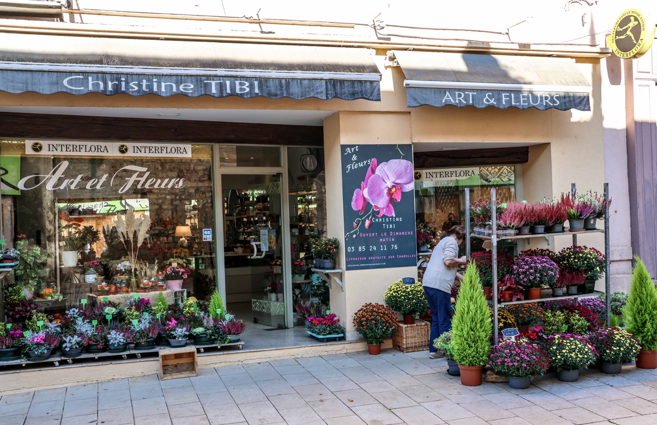 Fleuriste fleur Tibi Charolles